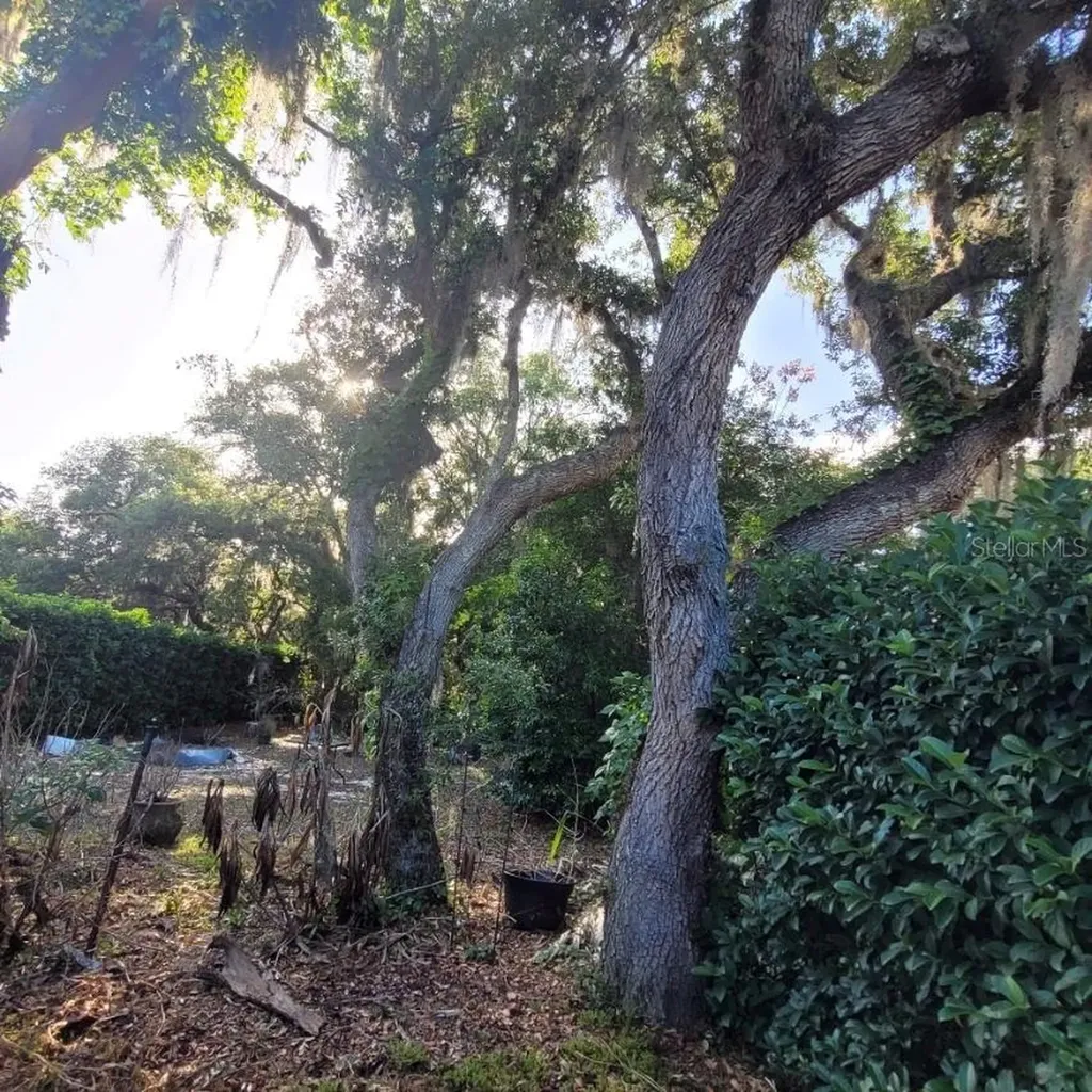 991 Old Cutler Road Lake Wales FL 33898