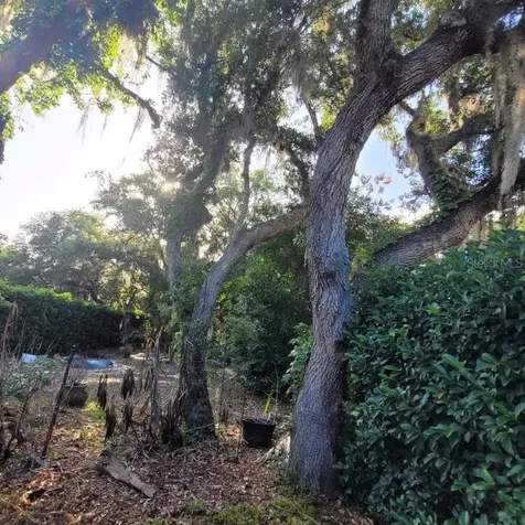991 Old Cutler Road Lake Wales FL 33898