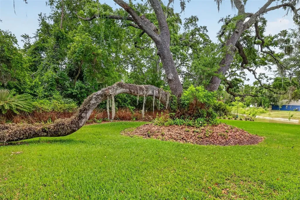 33746 Spring Drive Leesburg FL 34788