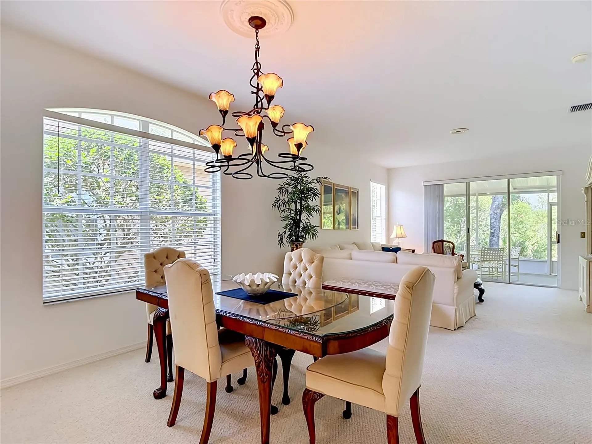 19180 Lake Audubon Drive Tampa FL 33647