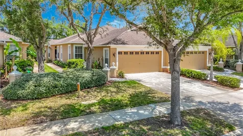 19180 Lake Audubon Drive Tampa FL 33647