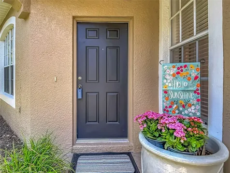 19180 Lake Audubon Drive Tampa FL 33647