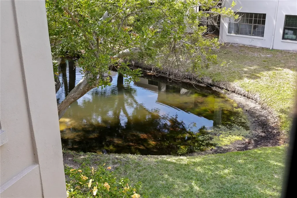2453 Kingfisher Lane Clearwater FL 33762