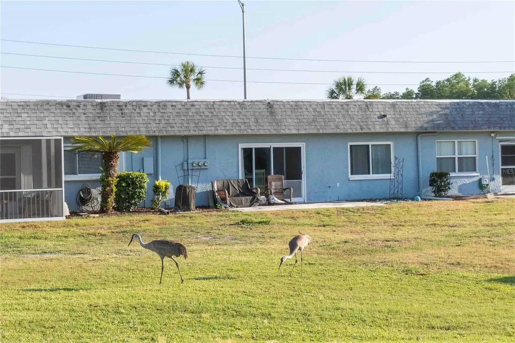 9639 Greenskeeper Drive New Port Richey FL 34655