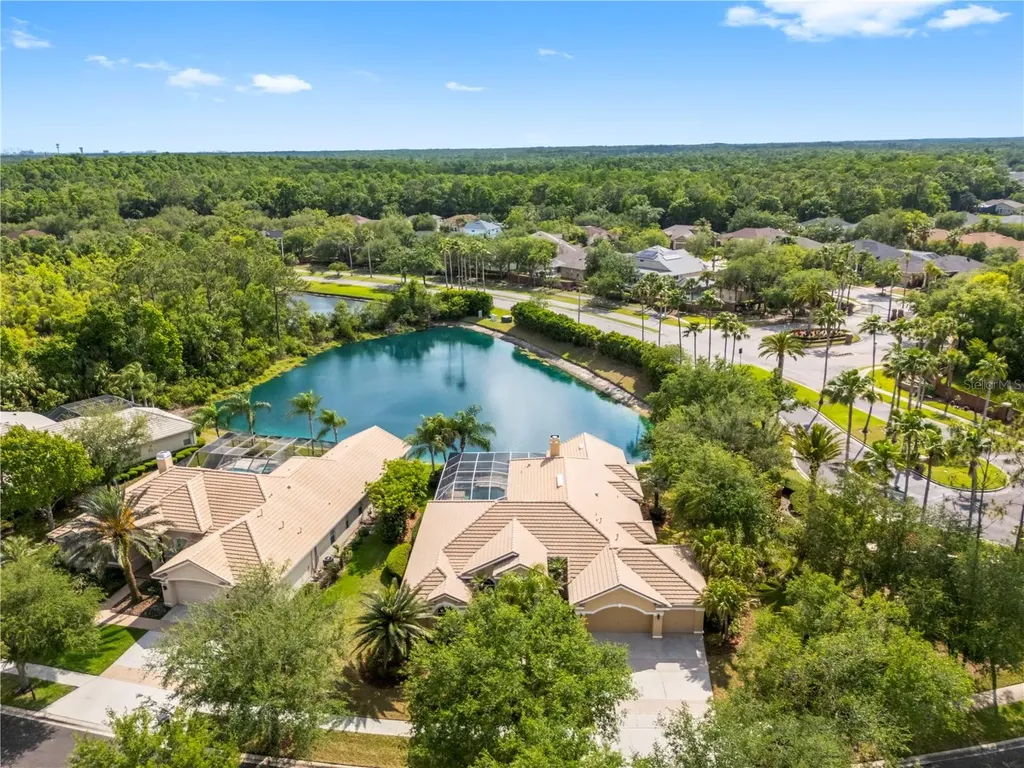 17206 Talence Court Tampa FL 33647