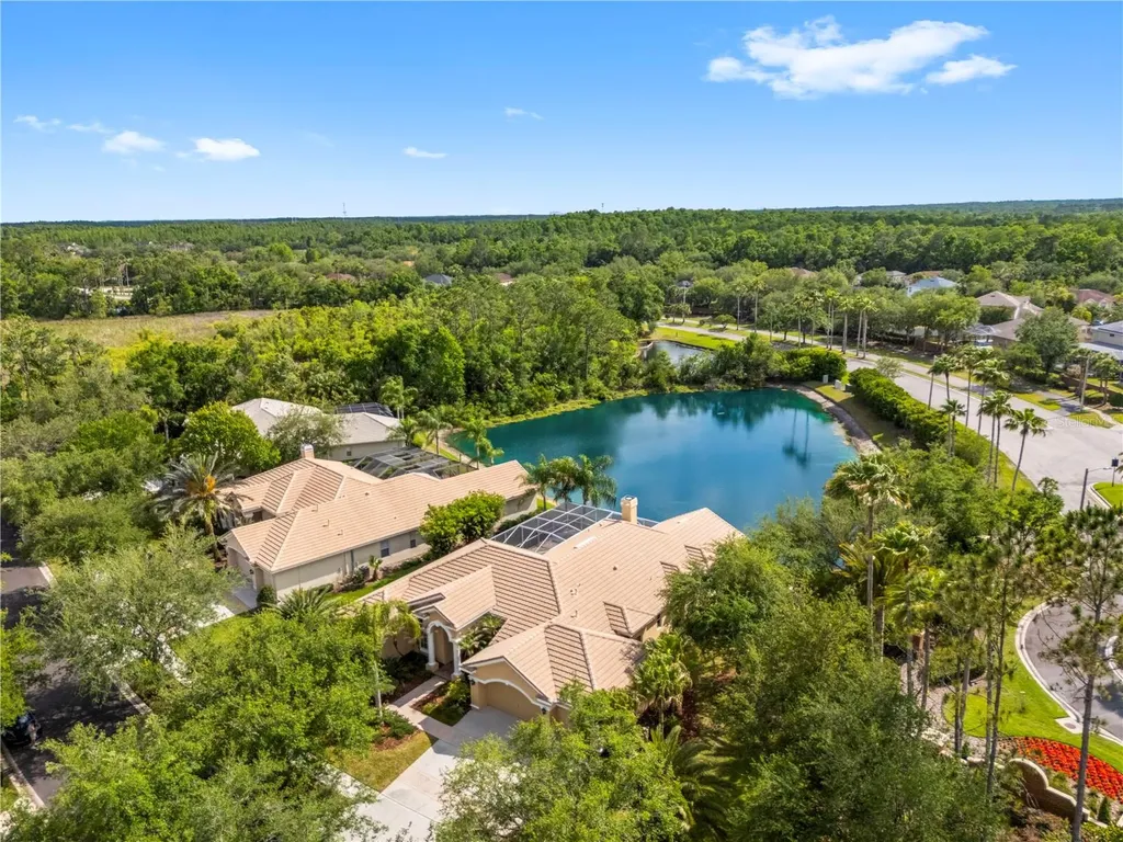17206 Talence Court Tampa FL 33647