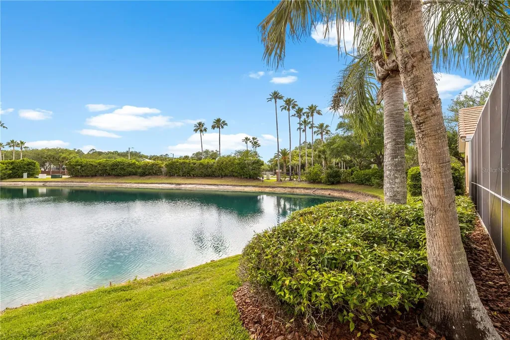 17206 Talence Court Tampa FL 33647