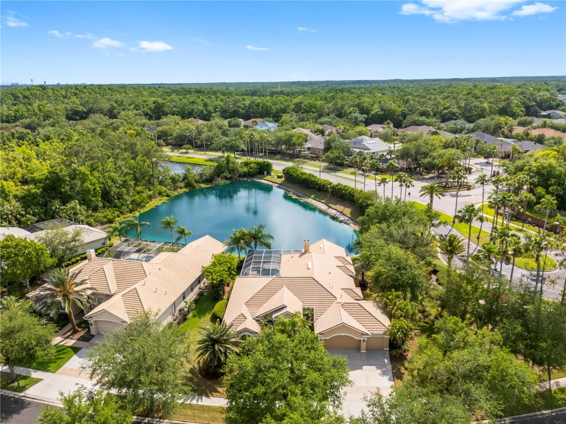 17206 Talence Court Tampa FL 33647