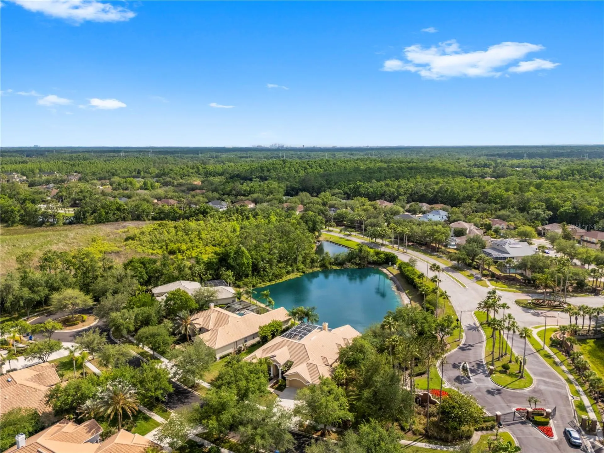17206 Talence Court Tampa FL 33647