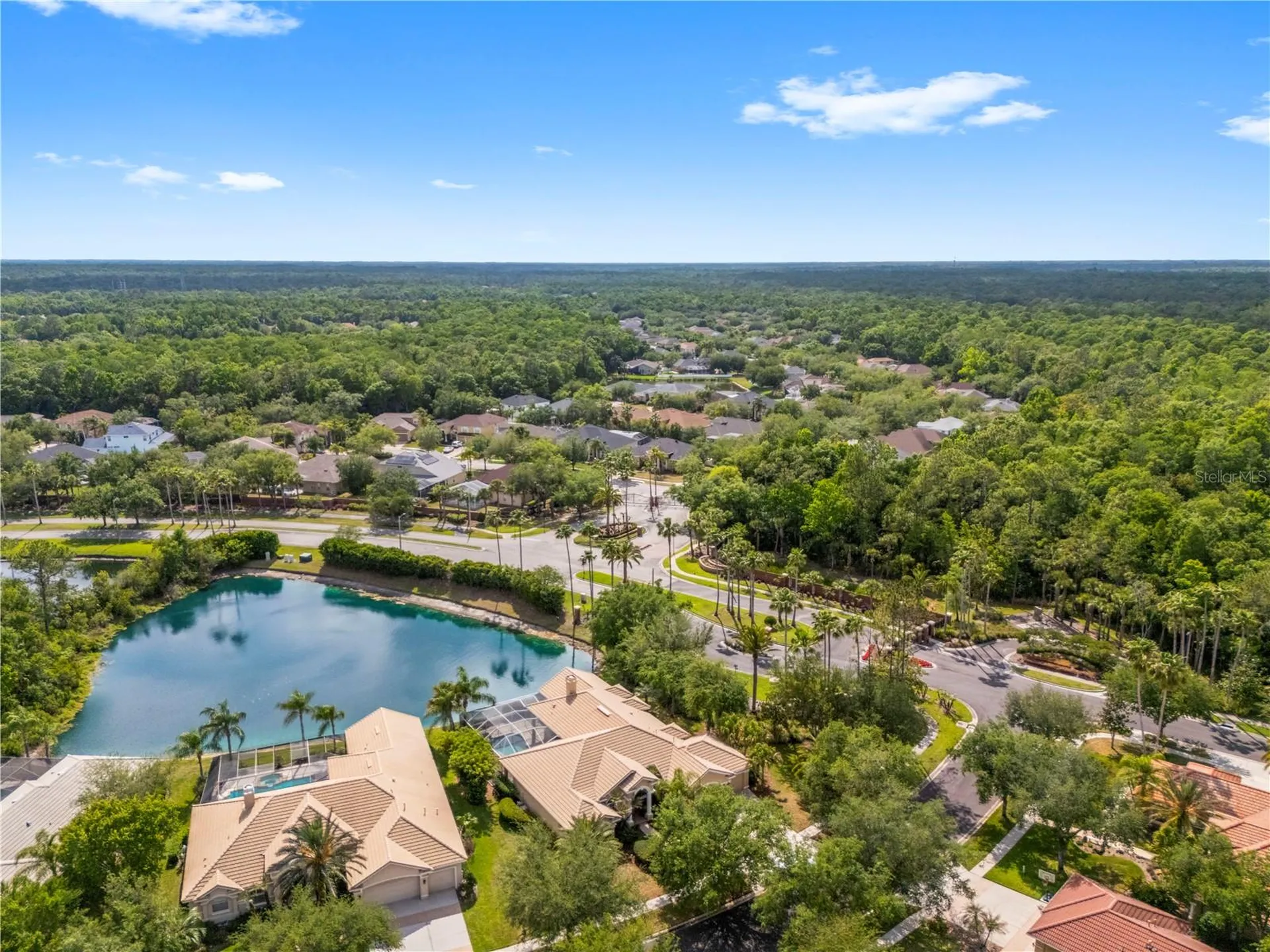 17206 Talence Court Tampa FL 33647