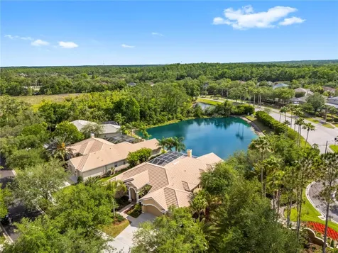 17206 Talence Court Tampa FL 33647