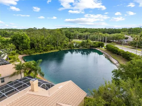 17206 Talence Court Tampa FL 33647