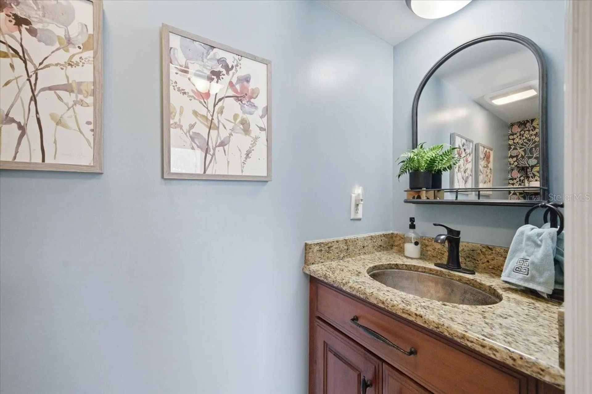 4014 Carrollwood Village Drive Tampa FL 33618