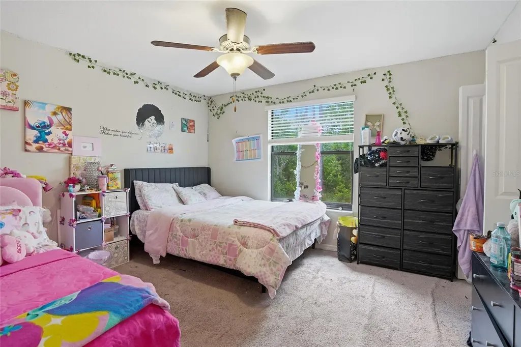 6563 Paden Wheel Street Zephyrhills FL 33541