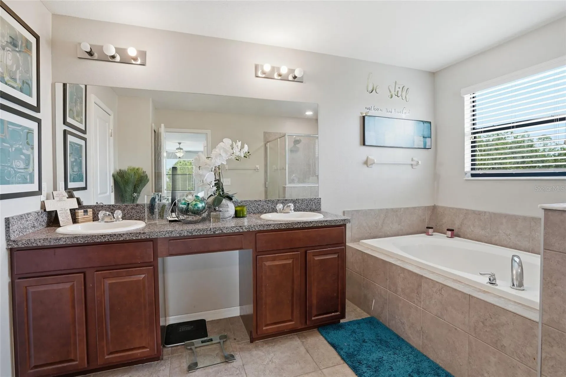 6563 Paden Wheel Street Zephyrhills FL 33541