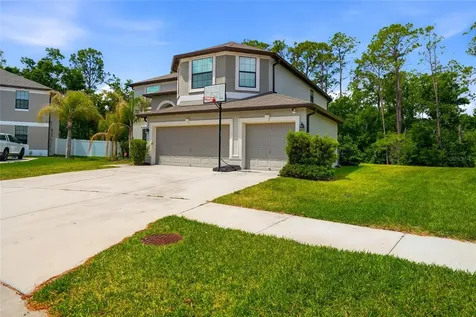 6563 Paden Wheel Street Zephyrhills FL 33541