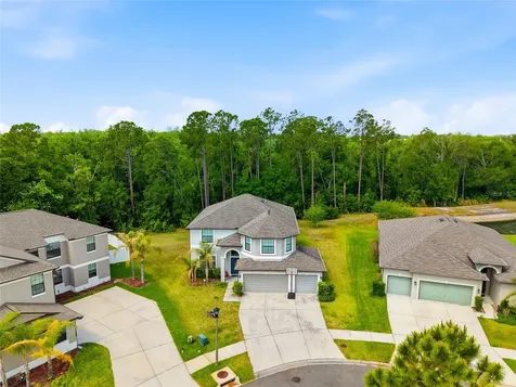 6563 Paden Wheel Street Zephyrhills FL 33541