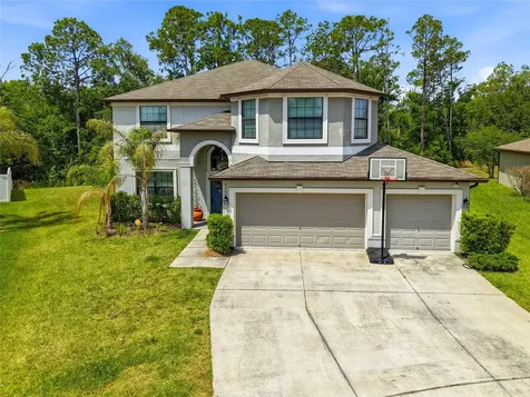 6563 Paden Wheel Street Zephyrhills FL 33541