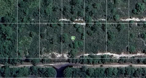 732 Quail Avenue Sebring FL 33870