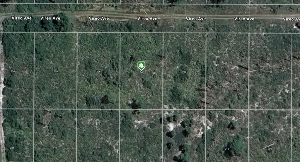 222 Vireo Avenue Sebring FL 33870