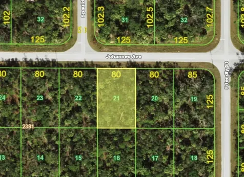 13181 Johannes Avenue Port Charlotte FL 33953
