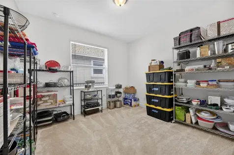 4915 Sienna Isles Avenue Wimauma FL 33598
