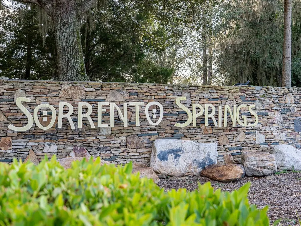 34142 Madiera Lane Sorrento FL 32776