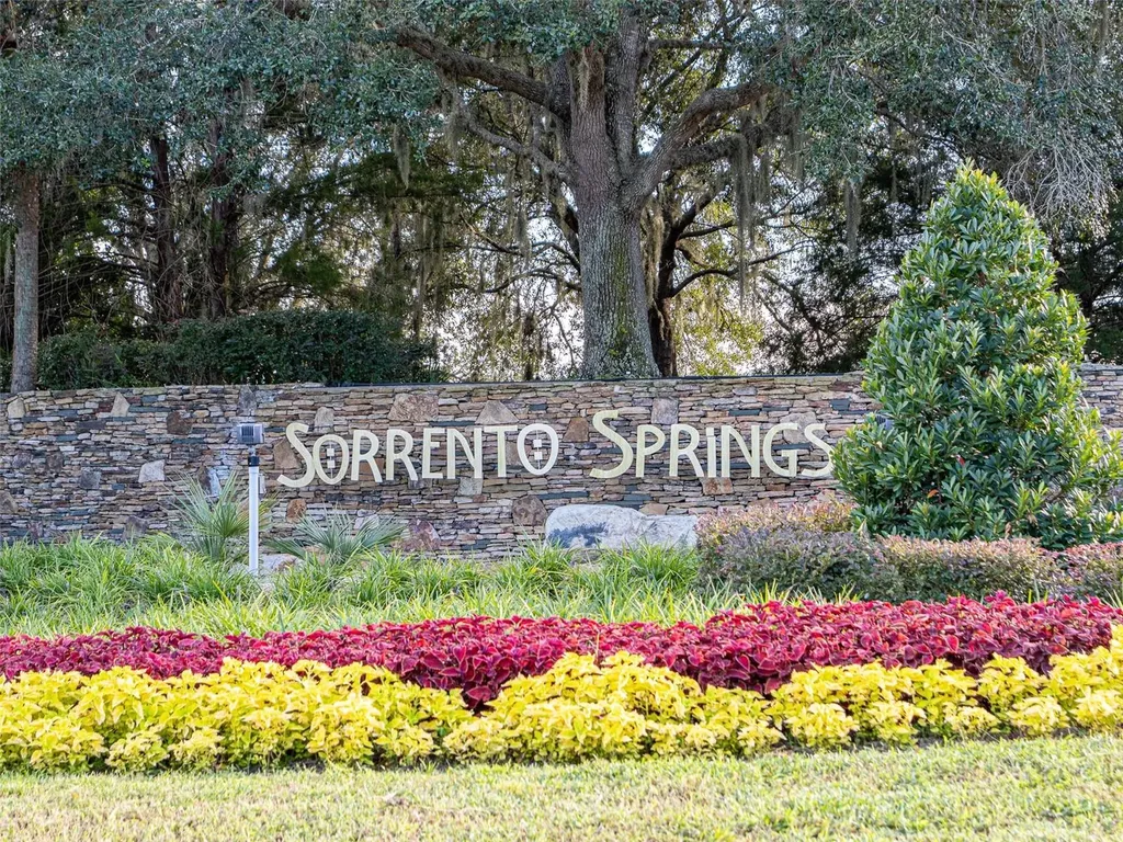 34142 Madiera Lane Sorrento FL 32776