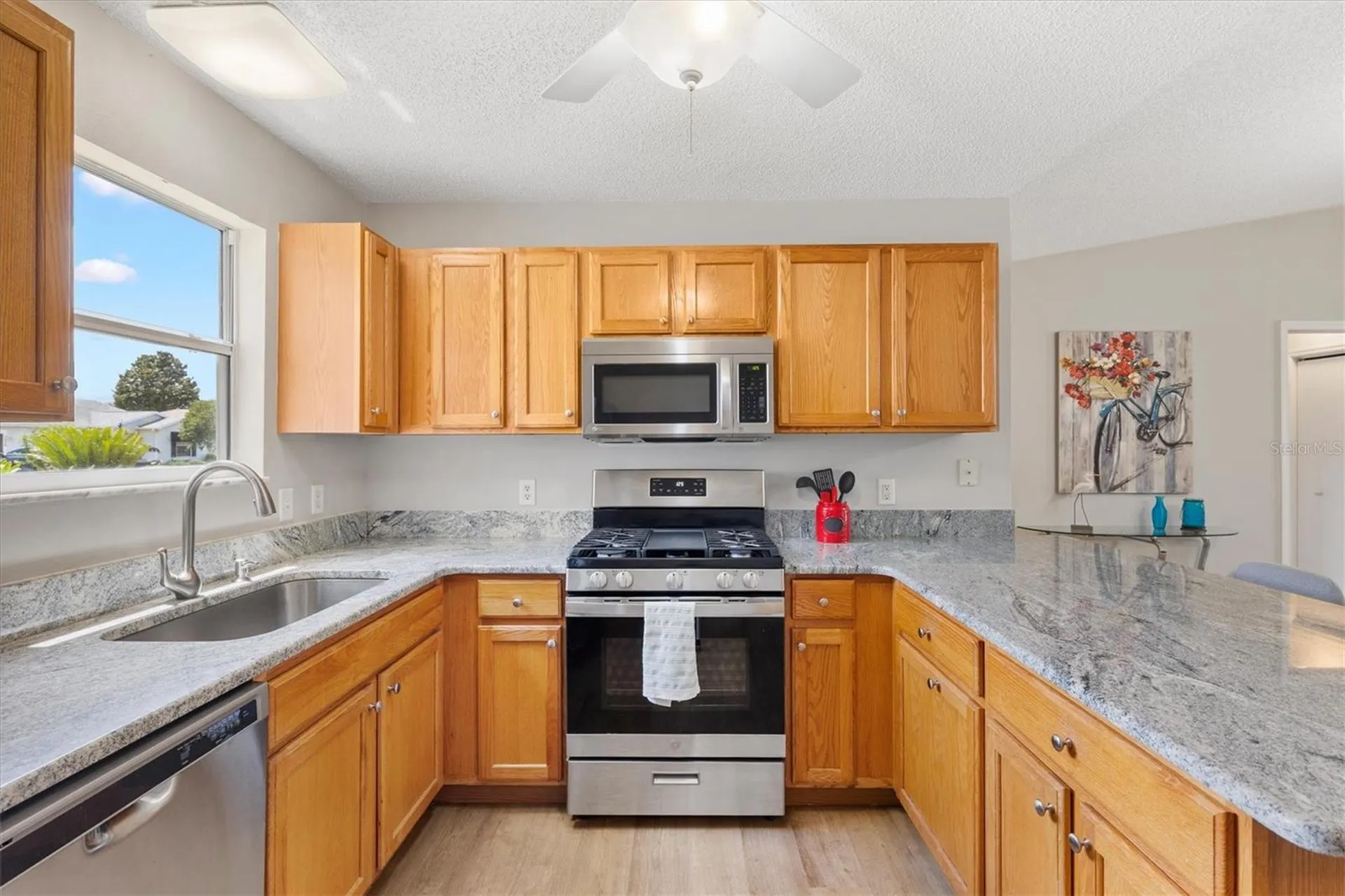 3443 Sipsey Street The Villages FL 32162