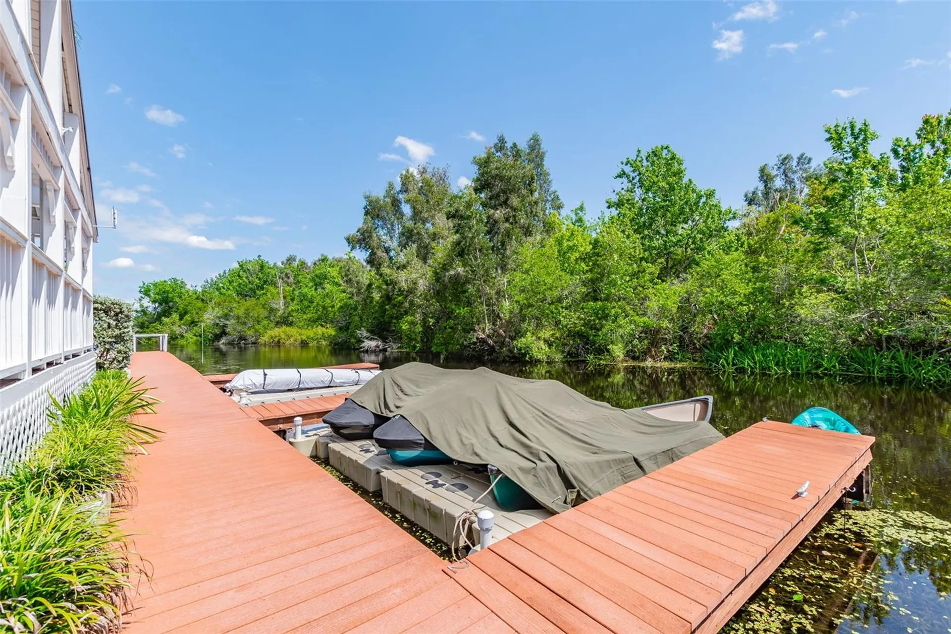 2599 Dolly Bay Drive Palm Harbor FL 34684