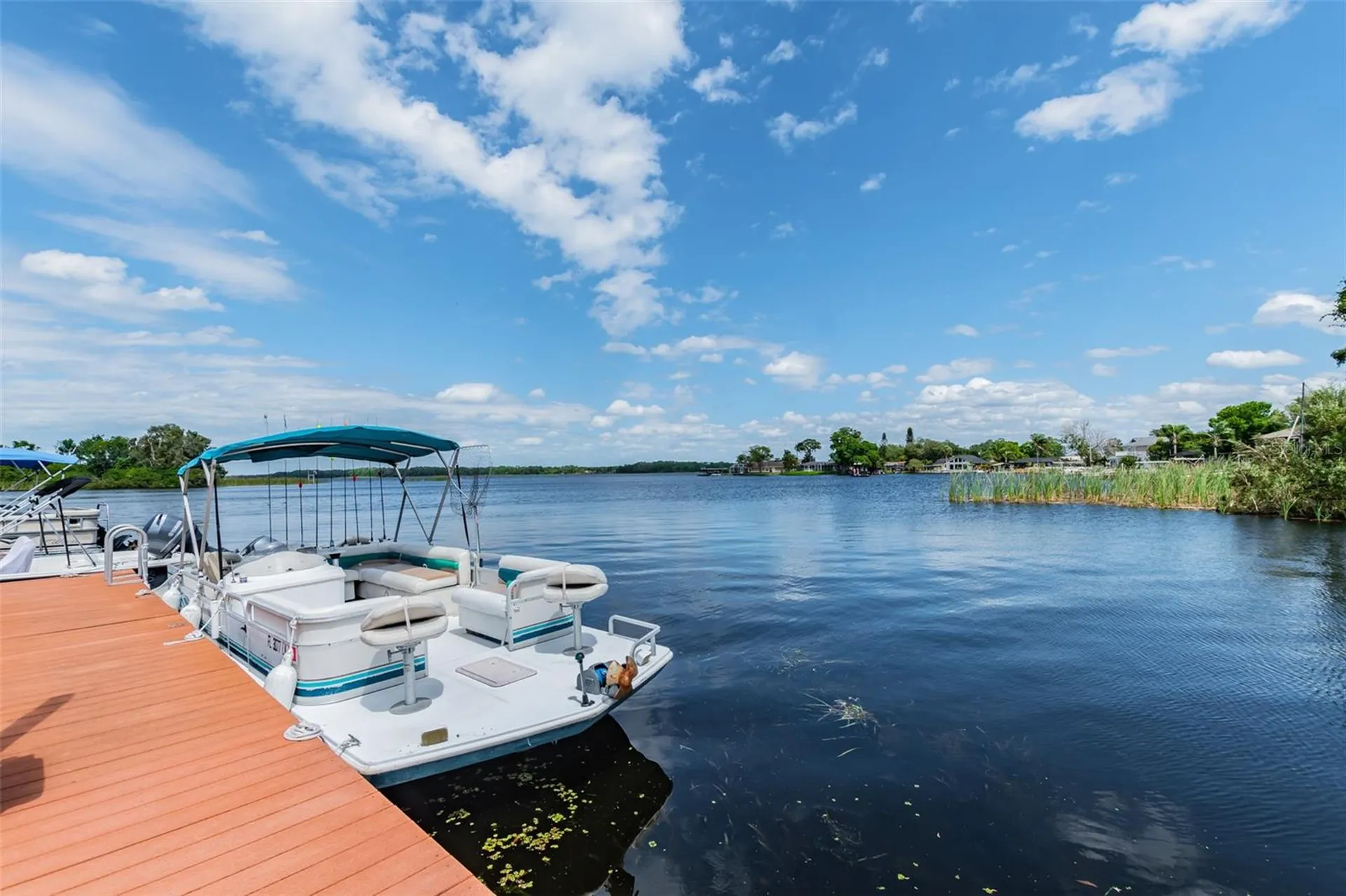 2599 Dolly Bay Drive Palm Harbor FL 34684