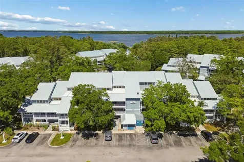 2599 Dolly Bay Drive Palm Harbor FL 34684