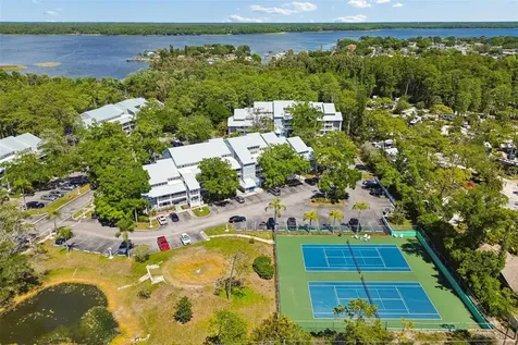 2599 Dolly Bay Drive Palm Harbor FL 34684