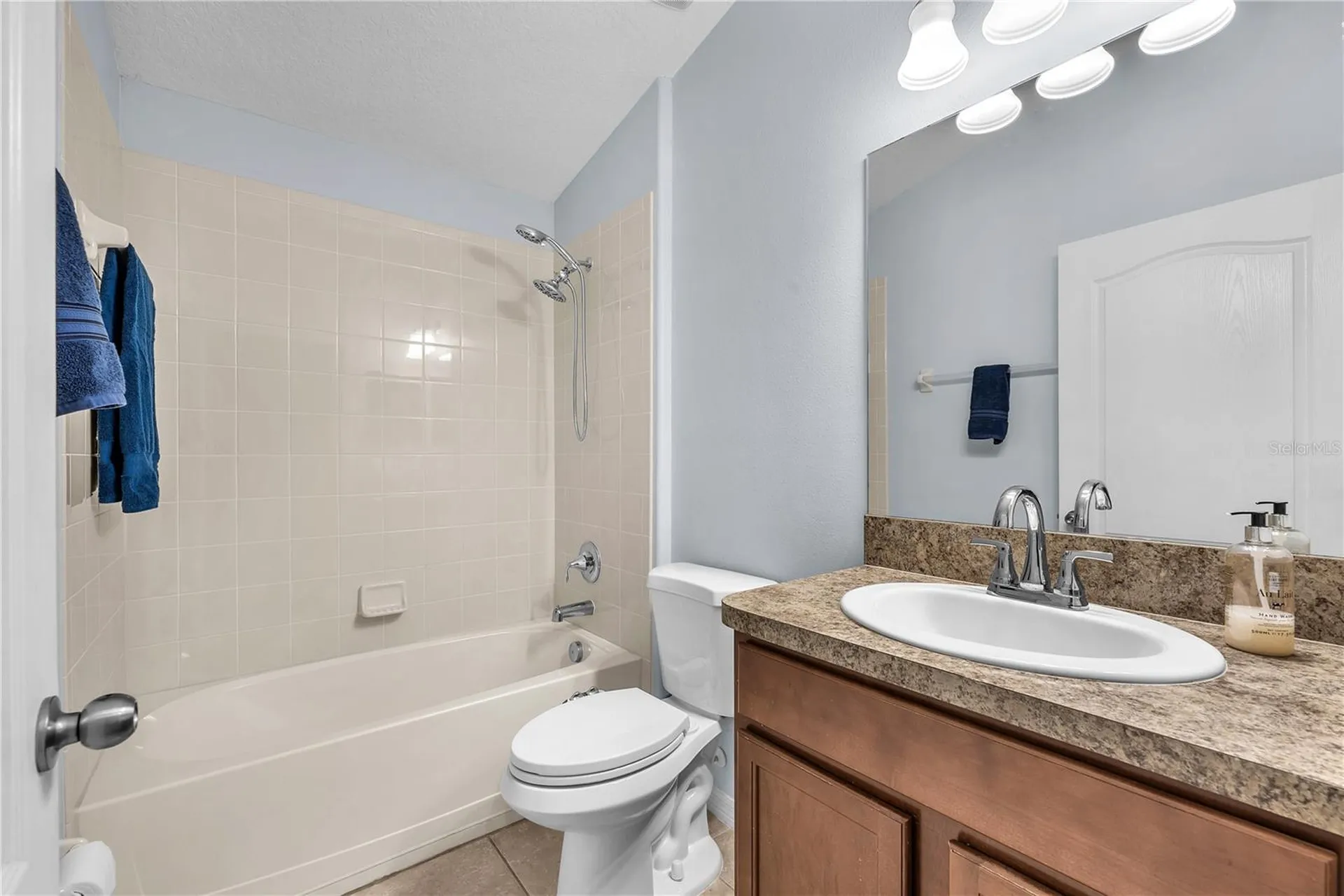10510 Summer Azure Drive Riverview FL 33578