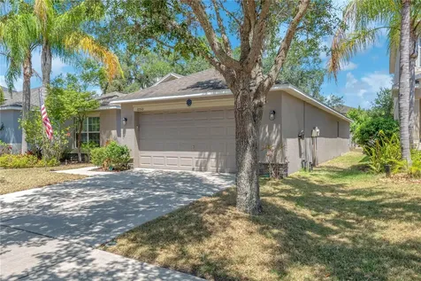 10510 Summer Azure Drive Riverview FL 33578