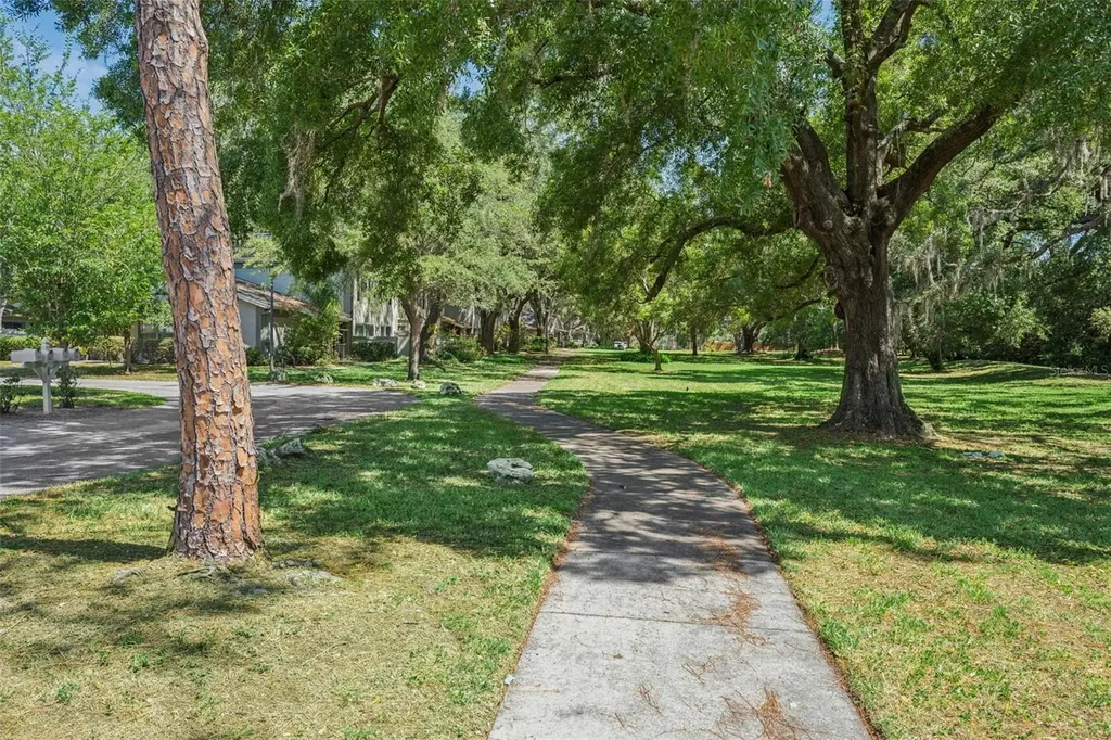 6341 Treetop Circle Temple Terrace FL 33617