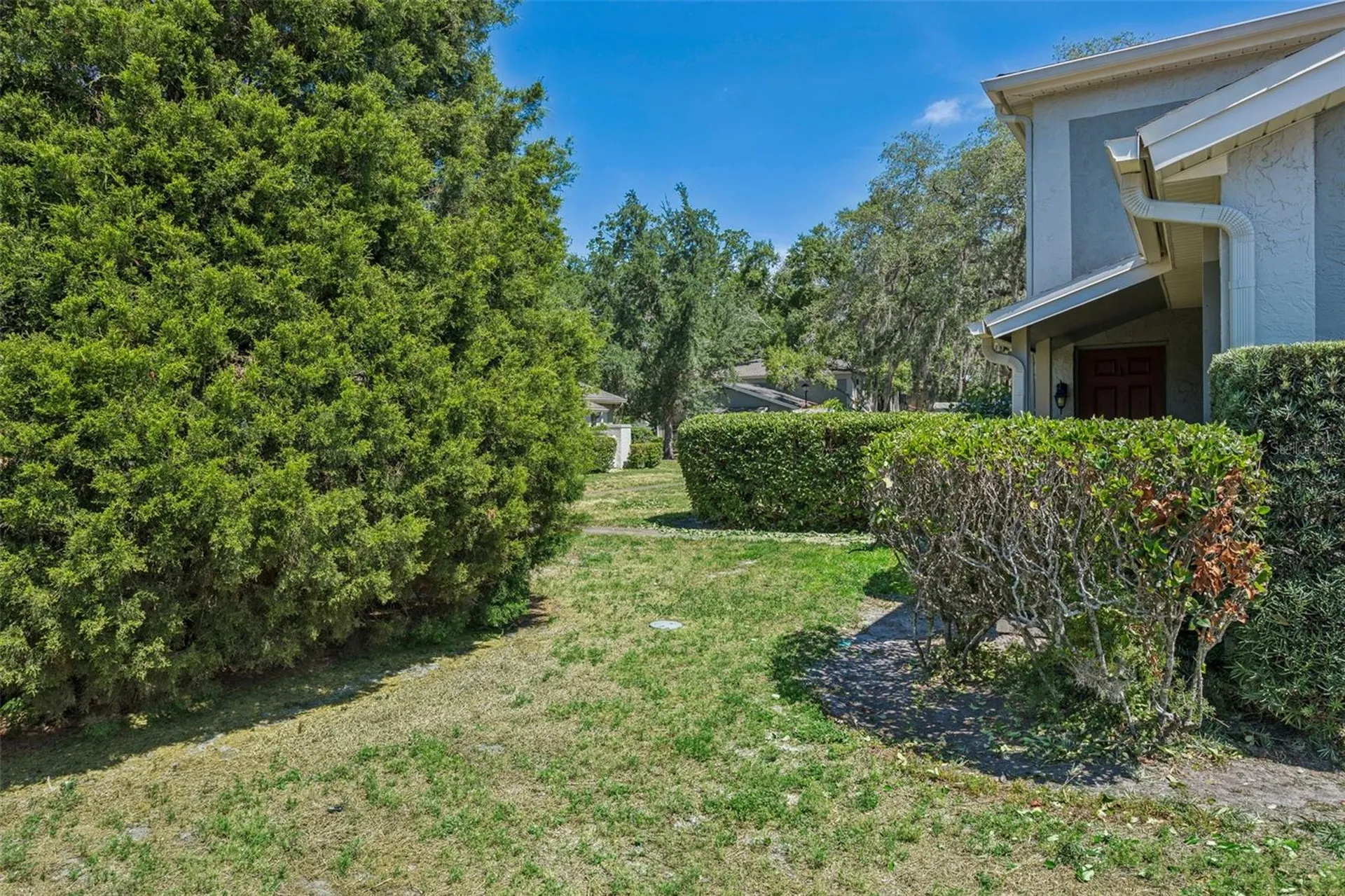 6341 Treetop Circle Temple Terrace FL 33617