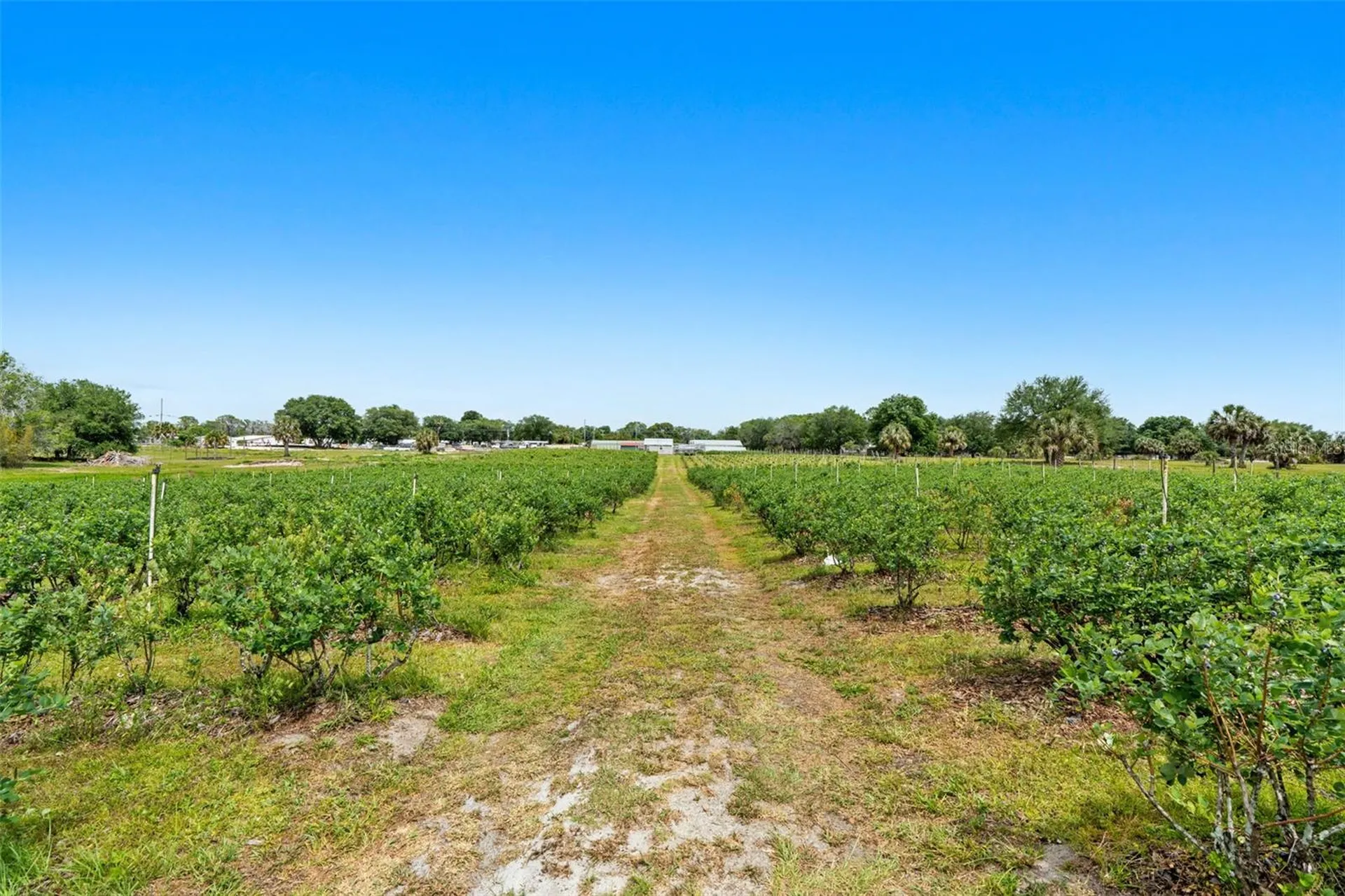 3510 Walk In Water Road Lake Wales FL 33898