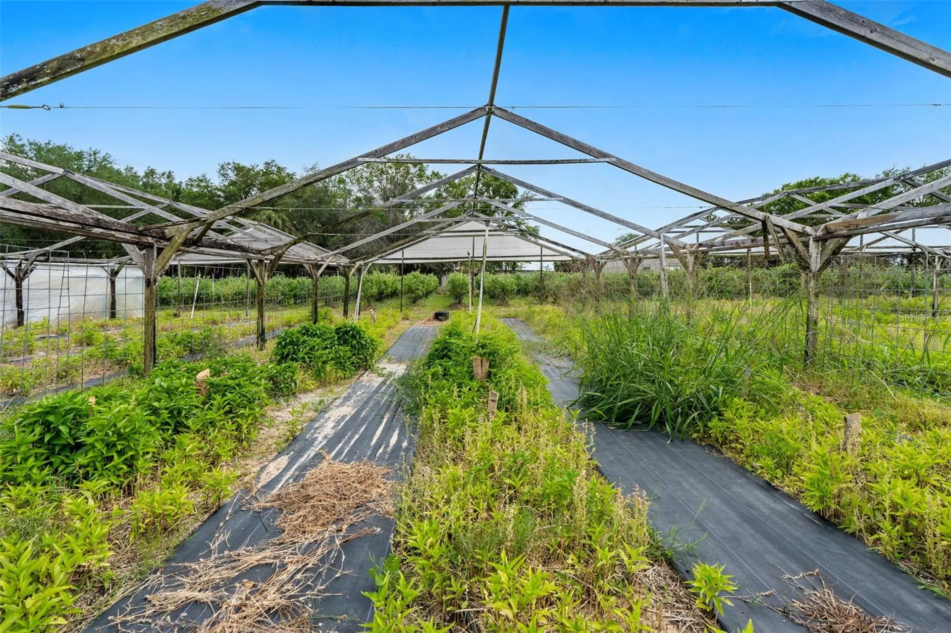 3510 Walk In Water Road Lake Wales FL 33898