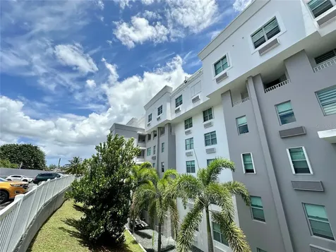 Palmares De Monteverde San Juan PR 00926