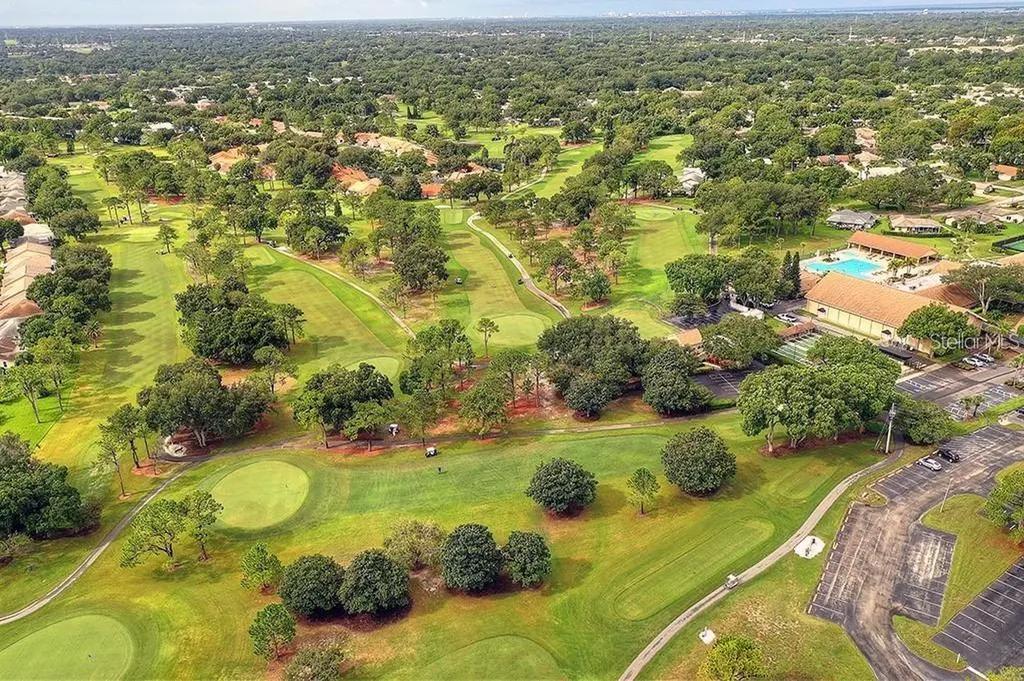 2291 Shelly Drive Palm Harbor FL 34684