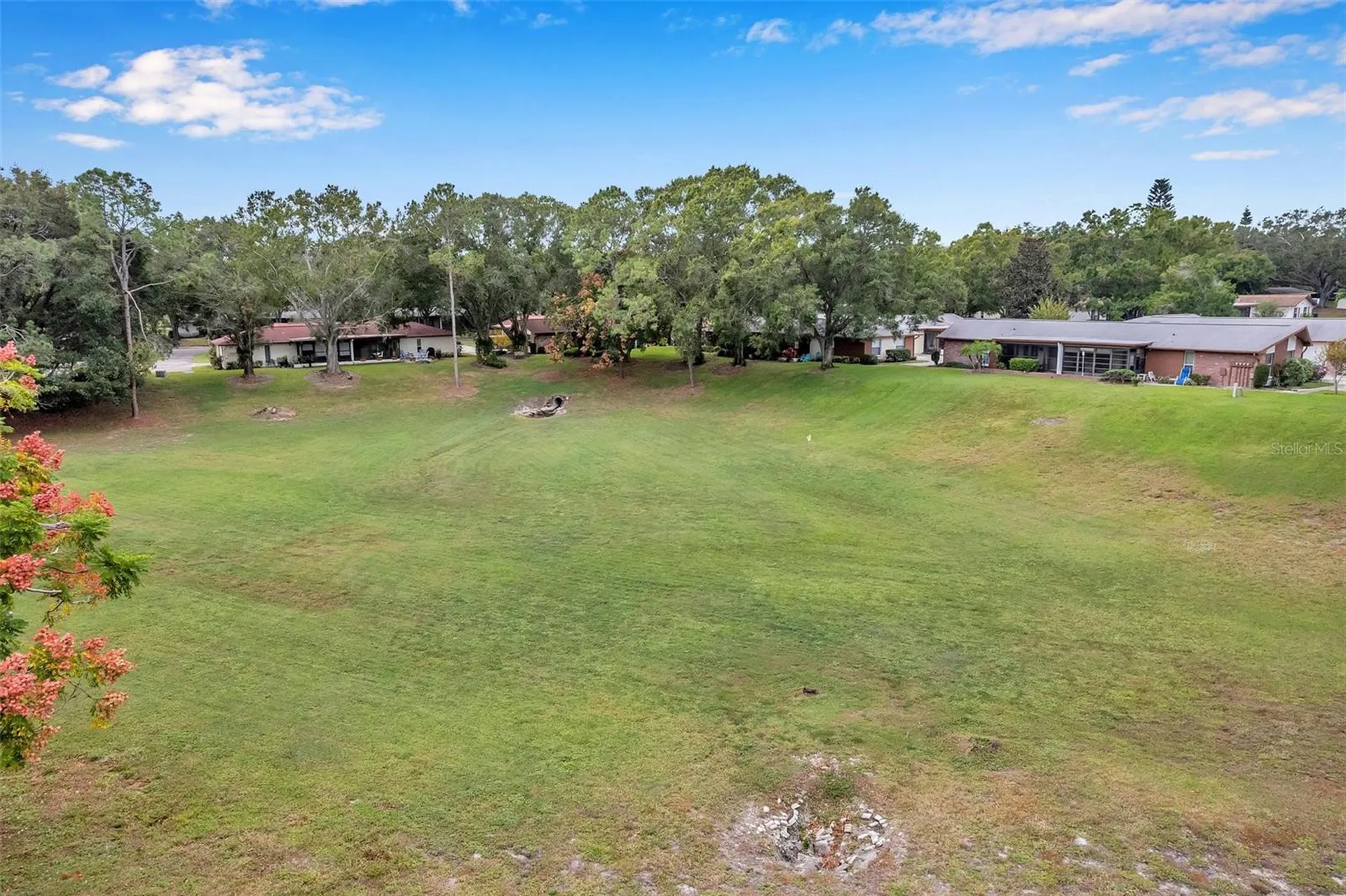 2291 Shelly Drive Palm Harbor FL 34684