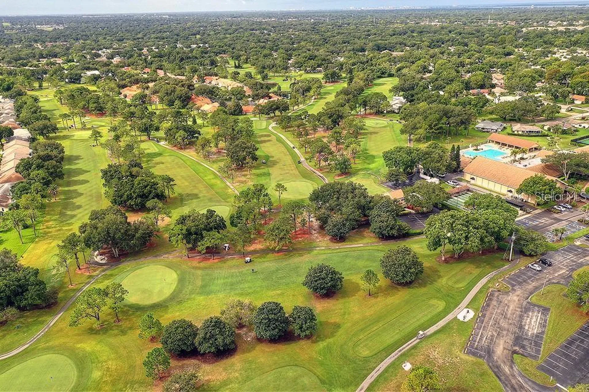 2291 Shelly Drive Palm Harbor FL 34684