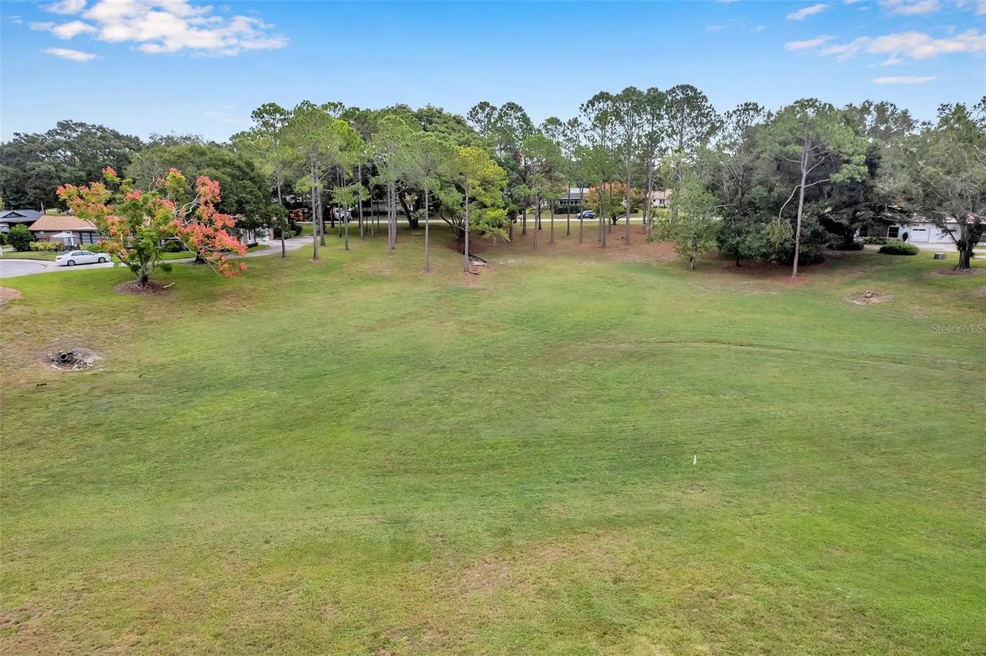 2291 Shelly Drive Palm Harbor FL 34684