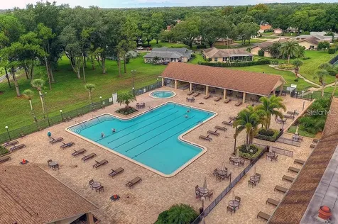 2291 Shelly Drive Palm Harbor FL 34684