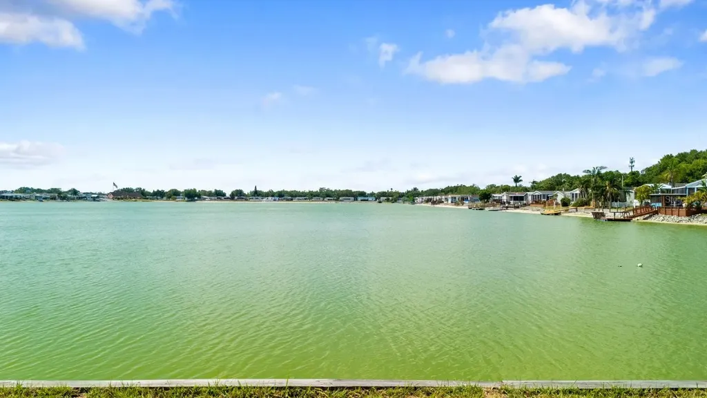 8536 Fantasia Park Way Riverview FL 33578