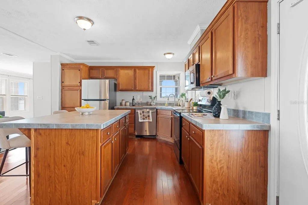 8536 Fantasia Park Way Riverview FL 33578