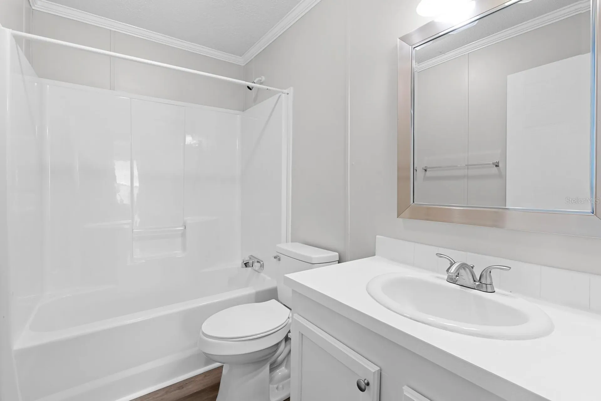 8536 Fantasia Park Way Riverview FL 33578
