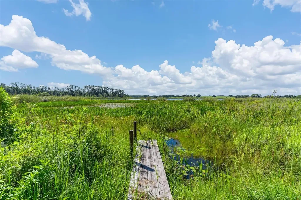 26833 Anderson Ranch Road Yalaha FL 34797
