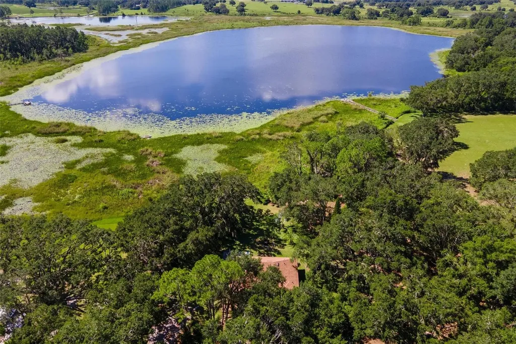 26833 Anderson Ranch Road Yalaha FL 34797